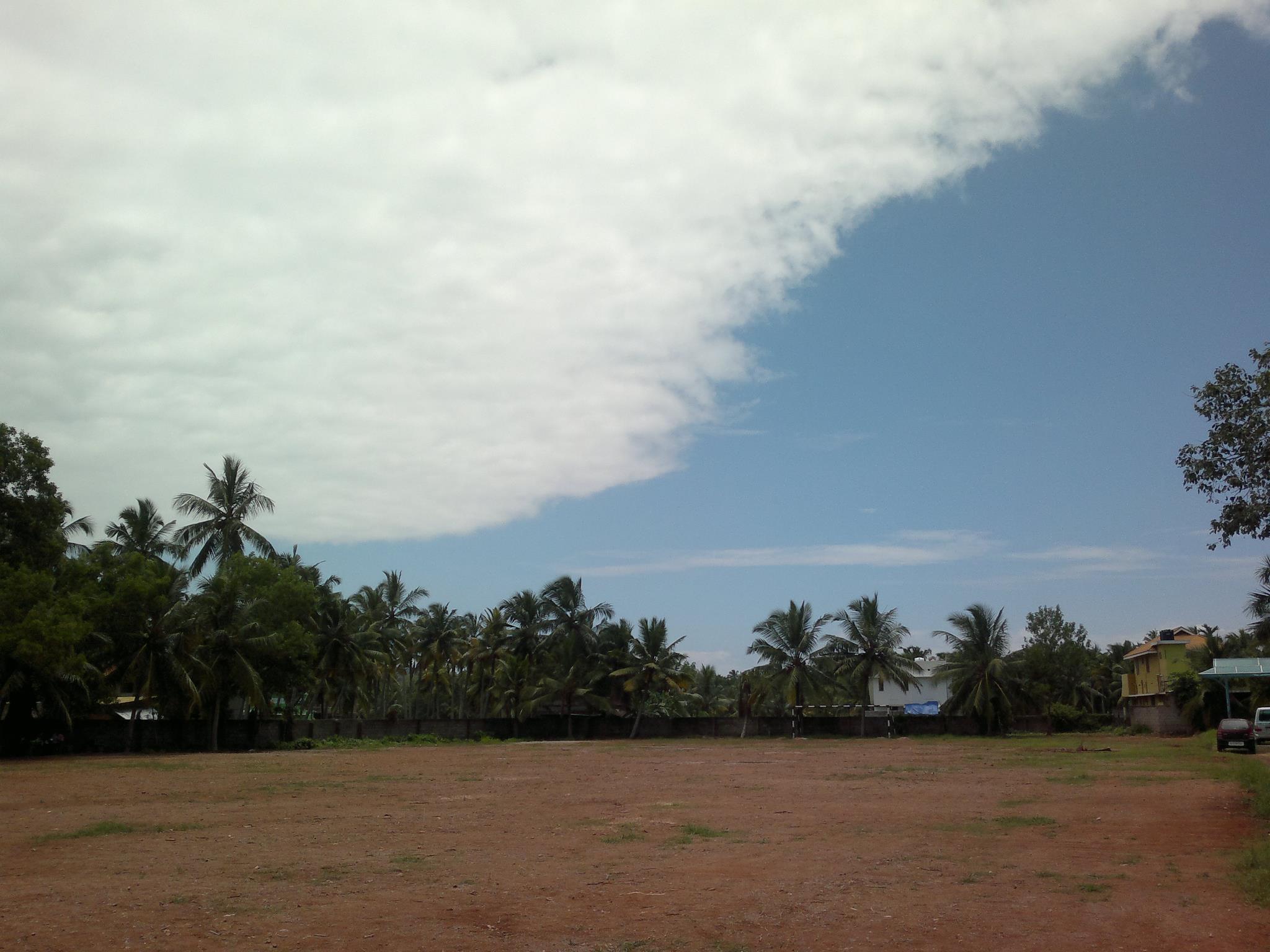 My Photography